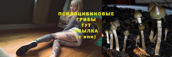 первитин Алексеевка